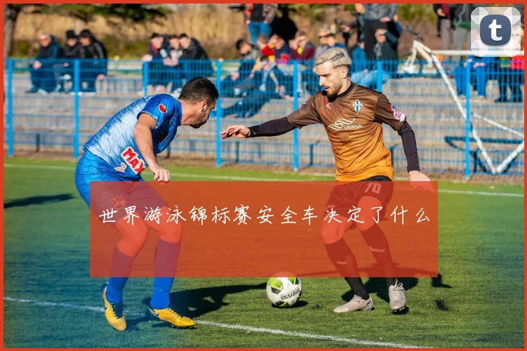 世界游泳锦标赛安全车决定了什么